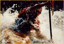 Norbert Sattler